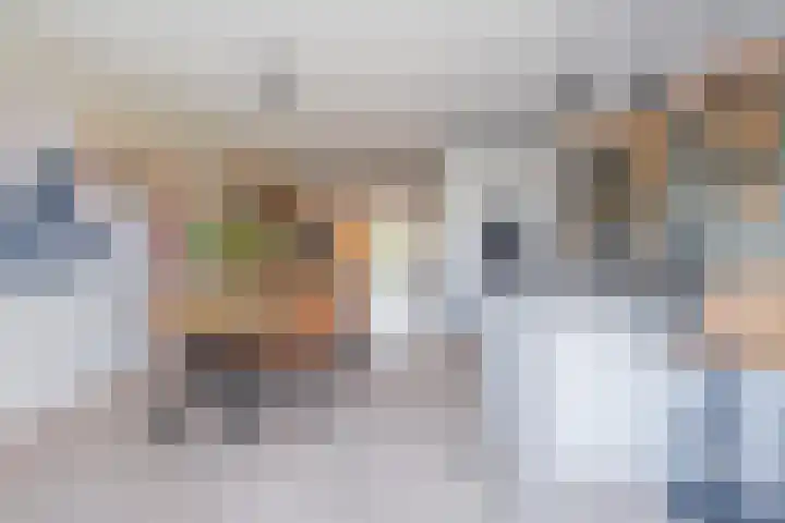 Kievit 56 Maurik thumbnail 30