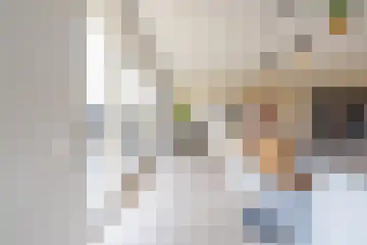 Kievit 56 Maurik thumbnail 33