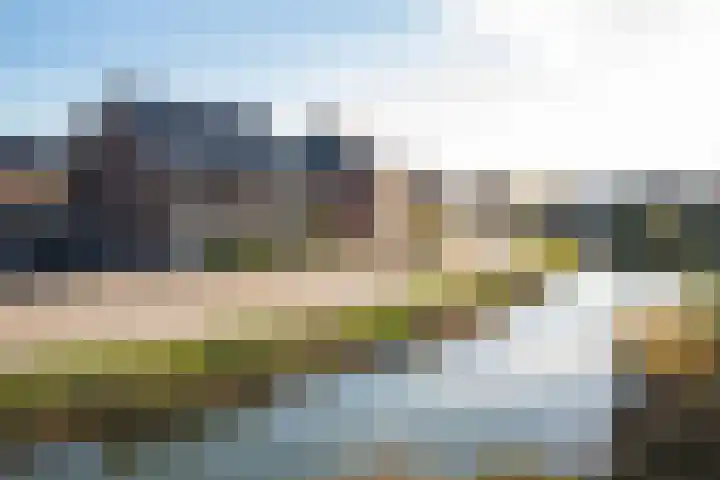 Kievit 56 Maurik thumbnail 4