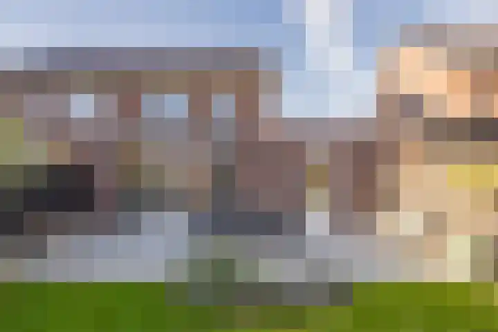 Kievit 56 Maurik thumbnail 40