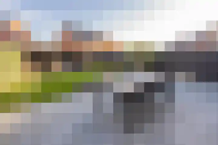 Kievit 56 Maurik thumbnail 42