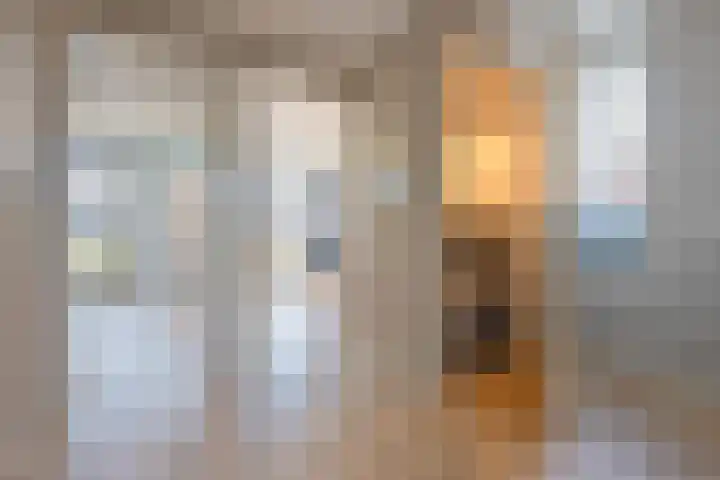 Kievit 56 Maurik thumbnail 54