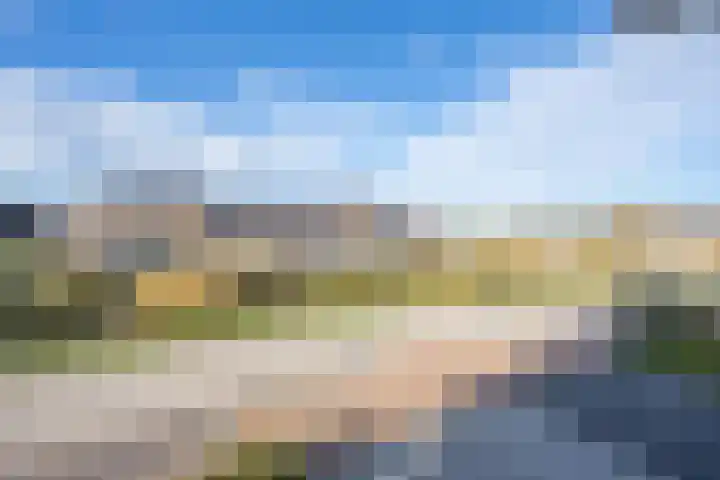 Kievit 56 Maurik thumbnail 59