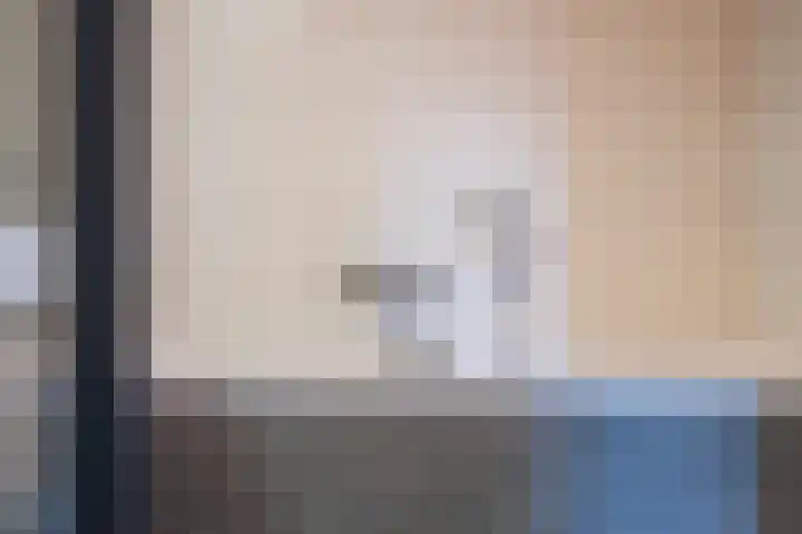 Kievit 56 Maurik thumbnail 65