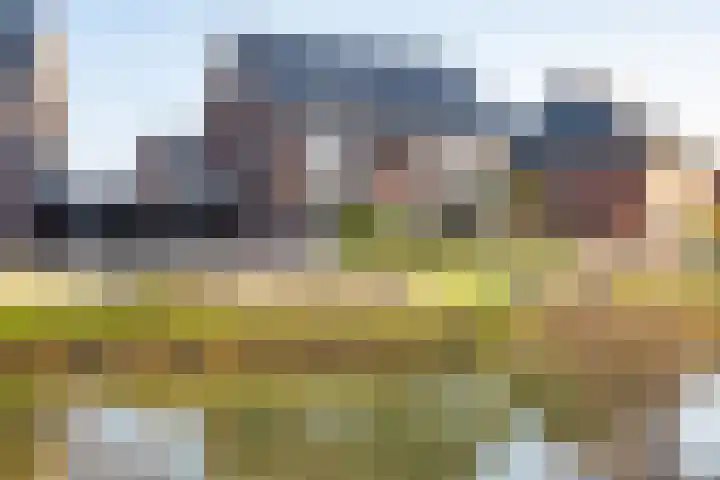 Kievit 56 Maurik thumbnail 69