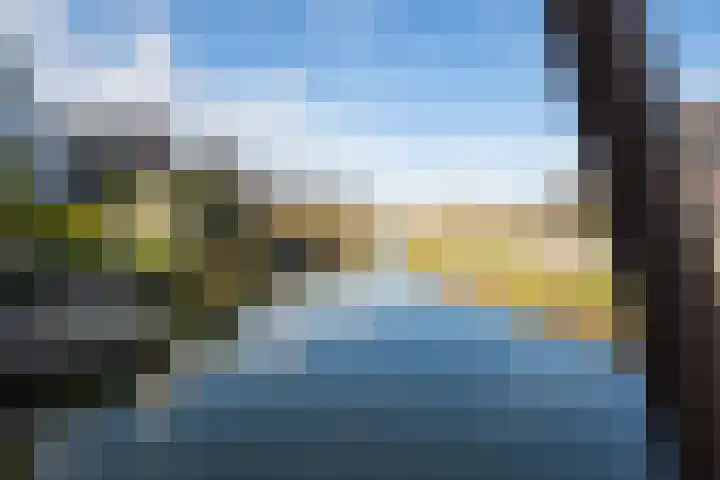 Kievit 56 Maurik thumbnail 7