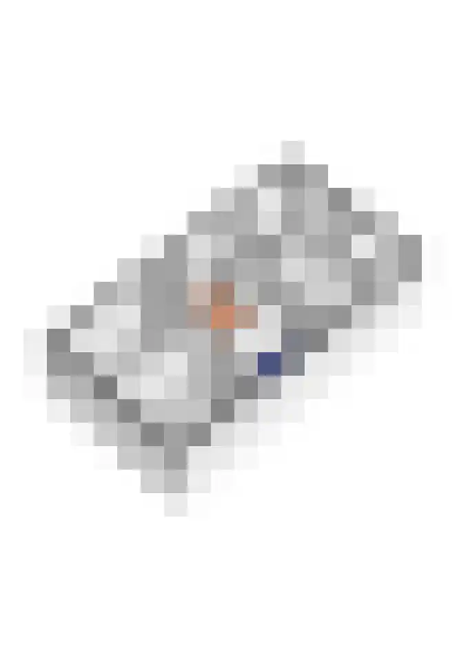 Kievit 56 Maurik thumbnail 73