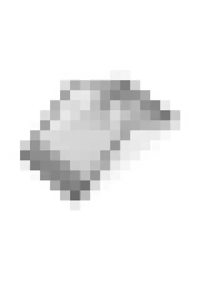 Kievit 56 Maurik thumbnail 75
