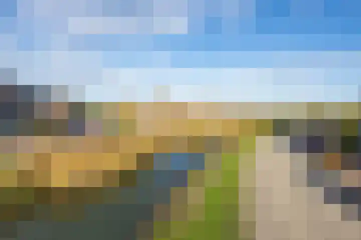 Kievit 56 Maurik thumbnail 8