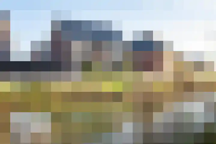 Kievit 56 Maurik thumbnail 9
