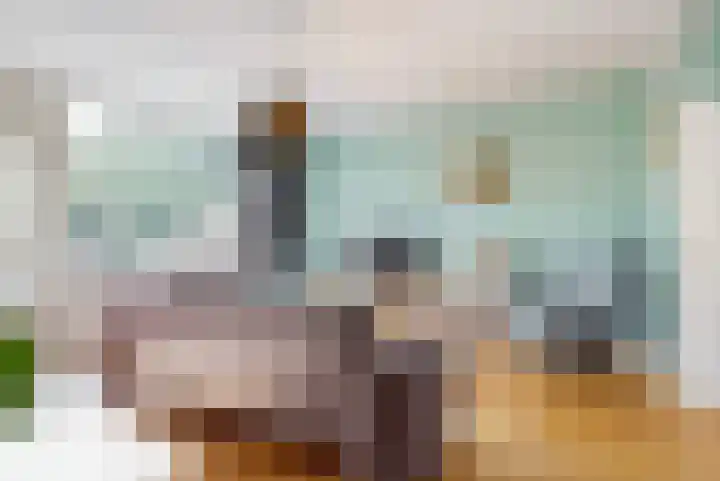 Kievit 56 Zoeterwoude thumbnail 10