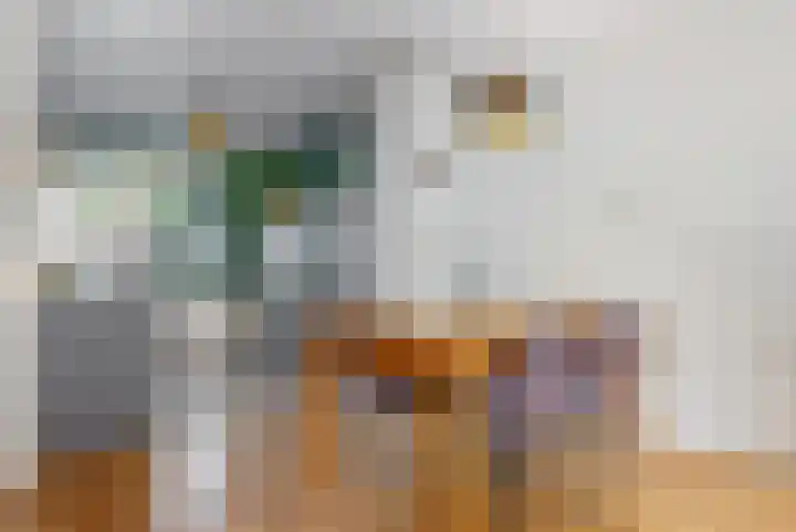 Kievit 56 Zoeterwoude thumbnail 11