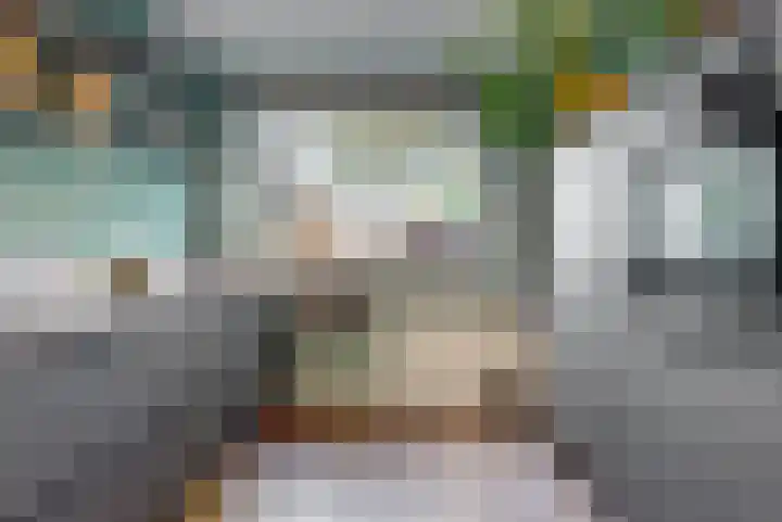 Kievit 56 Zoeterwoude thumbnail 12