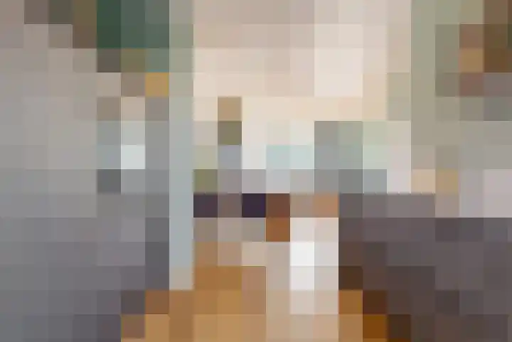 Kievit 56 Zoeterwoude thumbnail 13