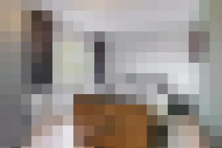 Kievit 56 Zoeterwoude thumbnail 19