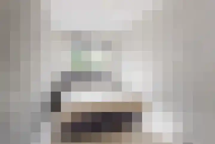 Kievit 56 Zoeterwoude thumbnail 25