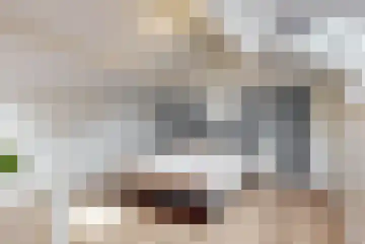 Kievit 56 Zoeterwoude thumbnail 30