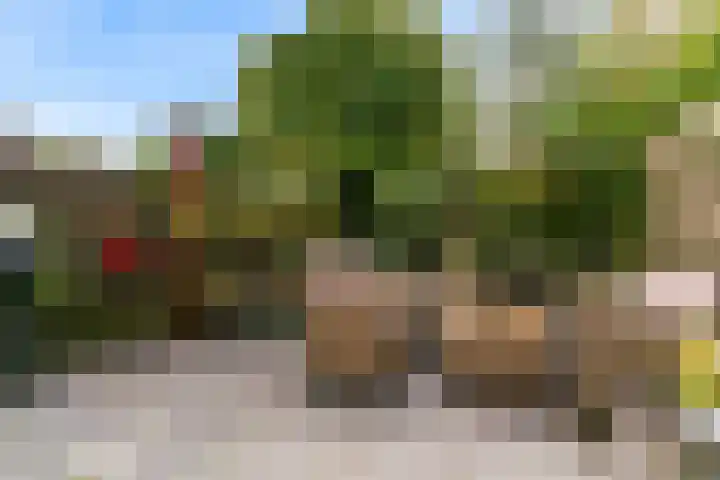 Kievit 56 Zoeterwoude thumbnail 33