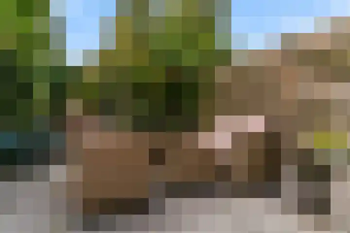 Kievit 56 Zoeterwoude thumbnail 34