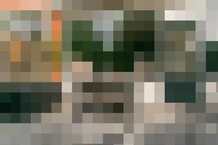 Kievit 56 Zoeterwoude thumbnail 35