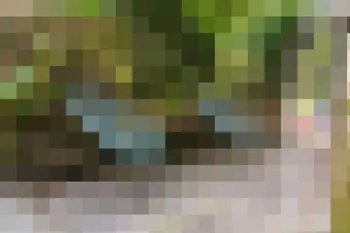 Kievit 56 Zoeterwoude thumbnail 37