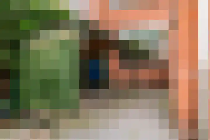 Kievit 56 Zoeterwoude thumbnail 4