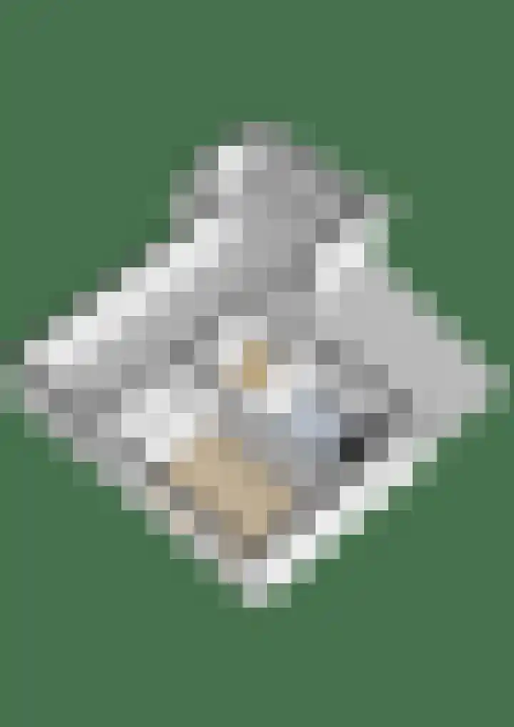 Kievit 56 Zoeterwoude thumbnail 42
