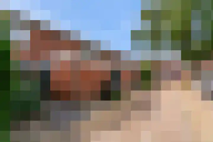 Kievit 56 Zoeterwoude thumbnail 44