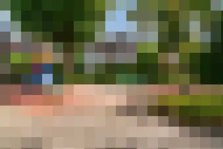 Kievit 56 Zoeterwoude thumbnail 46