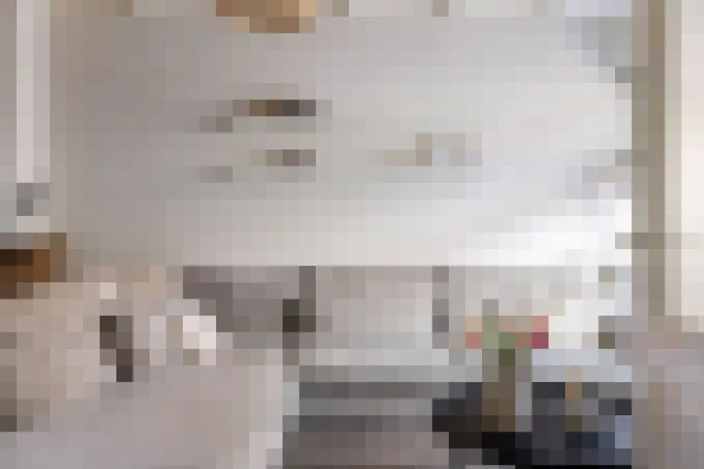 Kievit 56 Zoeterwoude thumbnail 9
