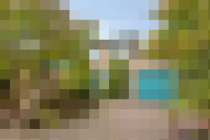 Kievit 60 Oss