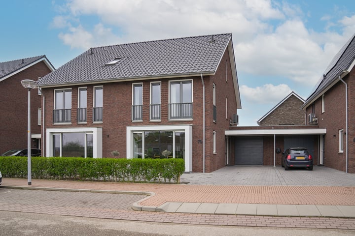 Kievit 70 in Maurik foto