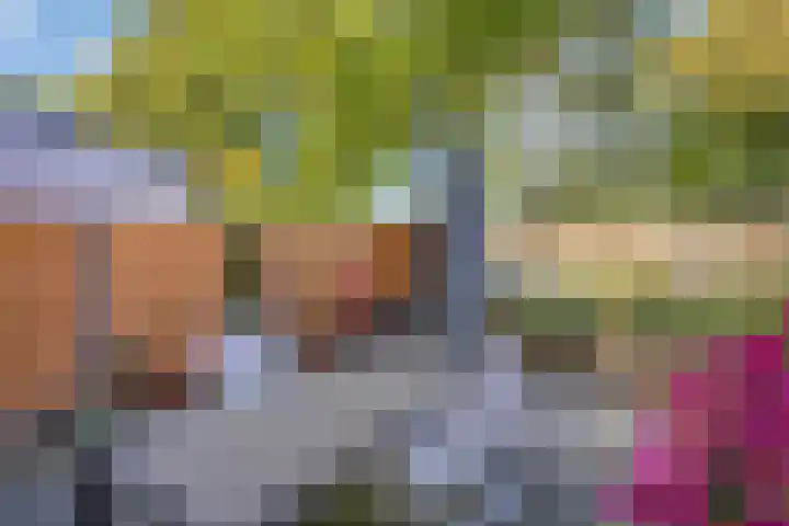 Kievit 90 Oss thumbnail 17