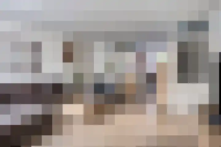 Kievit 90 Oss foto 2