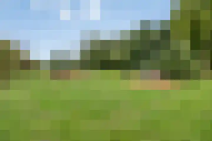 Kievit 90 Oss thumbnail 22