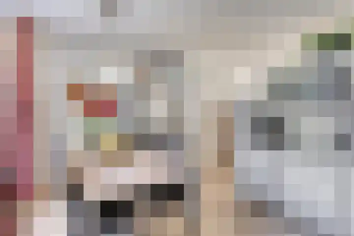 Kievit 90 Oss thumbnail 7