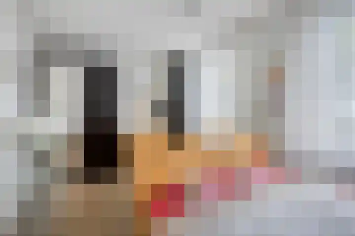 Kievit 90 Oss thumbnail 9