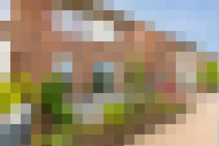 Kievit 94 Maurik thumbnail 10