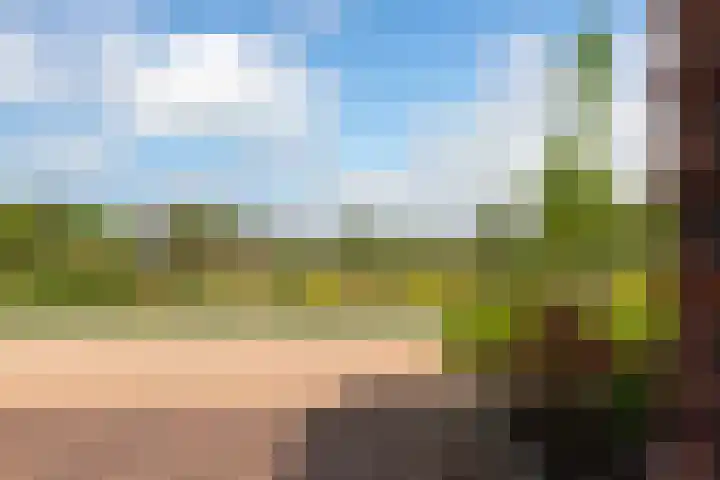 Kievit 94 Maurik thumbnail 12