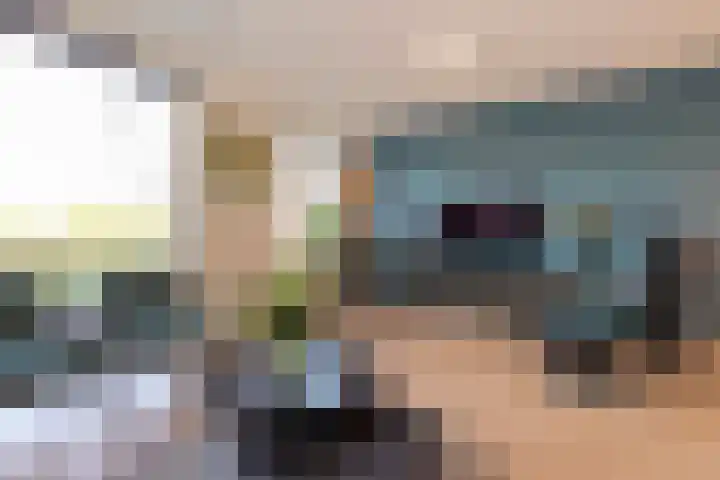 Kievit 94 Maurik thumbnail 16