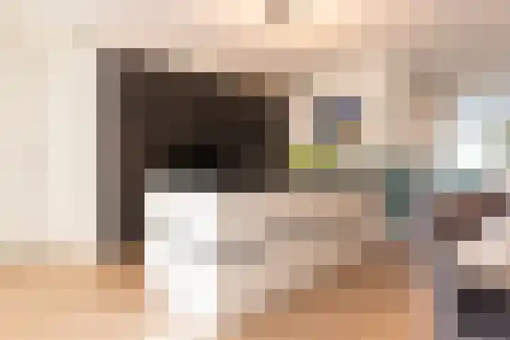 Kievit 94 Maurik thumbnail 23