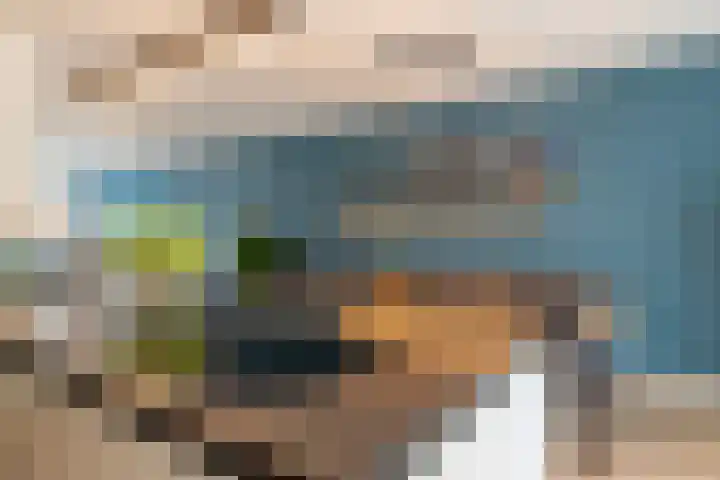 Kievit 94 Maurik thumbnail 26