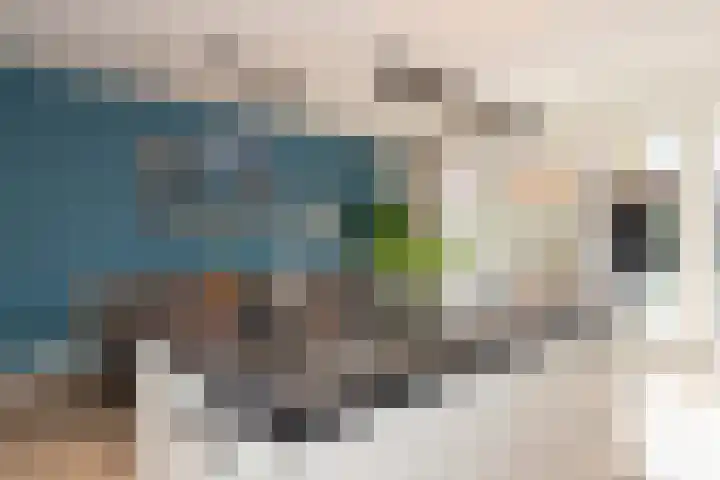 Kievit 94 Maurik thumbnail 27