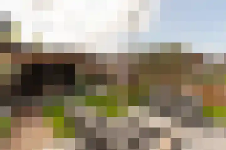 Kievit 94 Maurik thumbnail 30