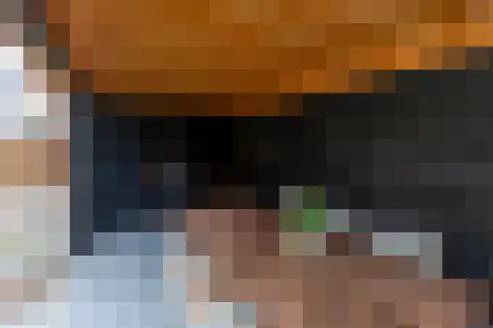 Kievit 94 Maurik thumbnail 37