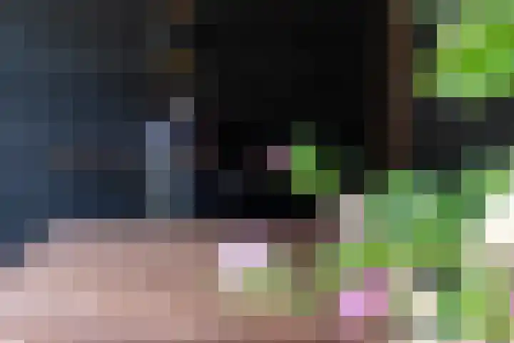 Kievit 94 Maurik thumbnail 38