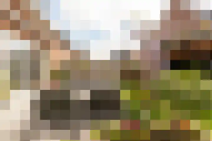 Kievit 94 Maurik thumbnail 39