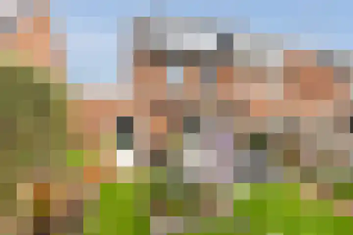 Kievit 94 Maurik thumbnail 44