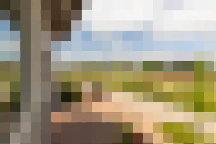 Kievit 94 Maurik thumbnail 59