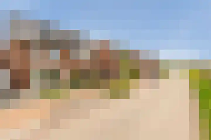 Kievit 94 Maurik thumbnail 6